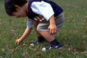 排卵検査薬の販売サイトならこちら